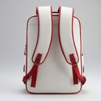 backpack_199_.png_00003_
